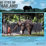 eyes of thailand homepage